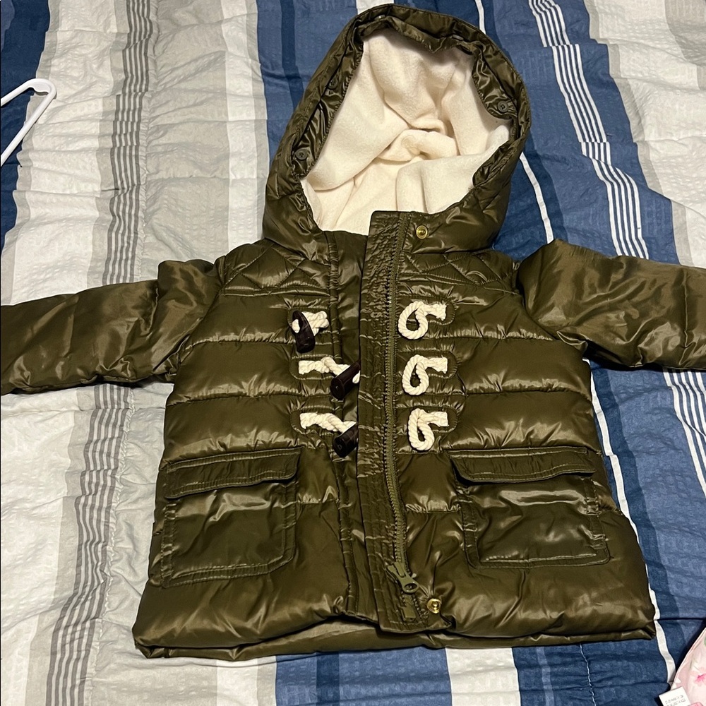 Gap baby Olive Green Puffer Jacket with Cream Hood Lining